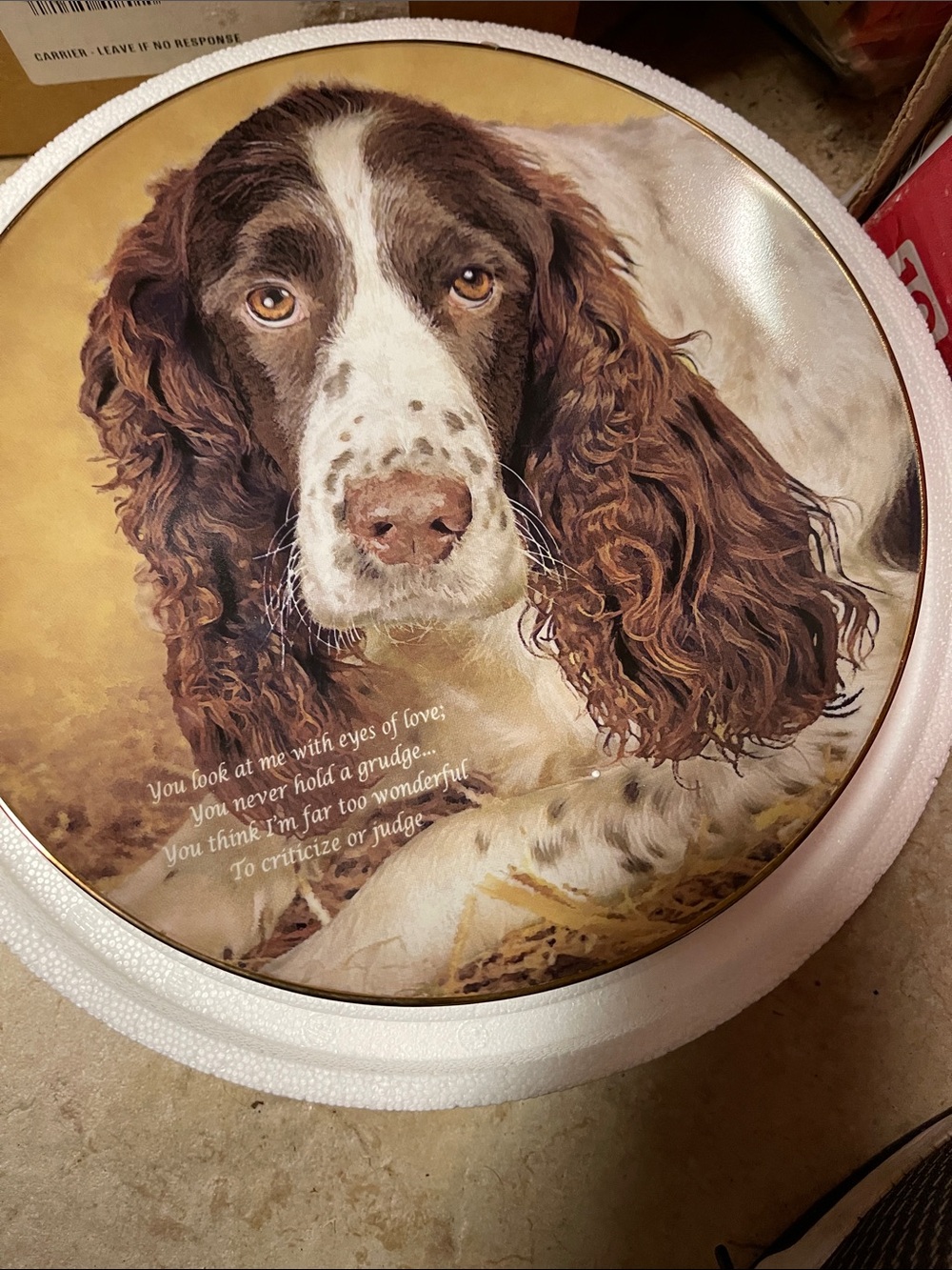 Danbury mint springer spaniel dog plate